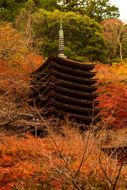 奈良の紅葉 ～ 談山神社より