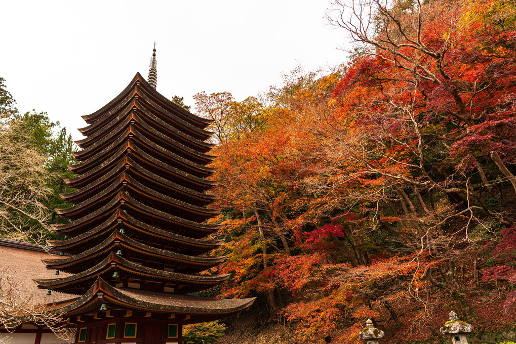奈良の紅葉 ～ 談山神社より