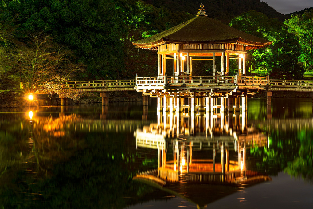 奈良 浮見堂の水鏡