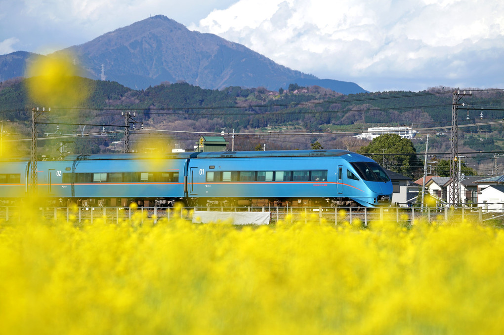 栢山の春色