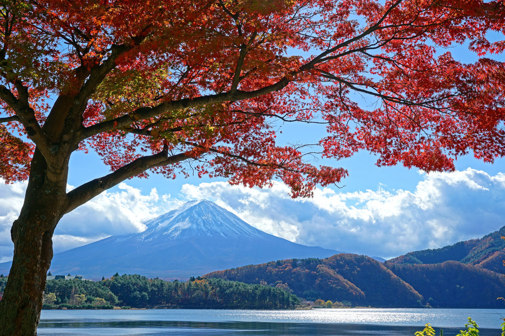 富士山パワーでコロナに負けるな！
