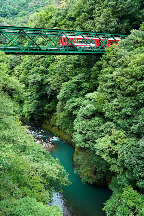 緑あふれる出山の鉄橋