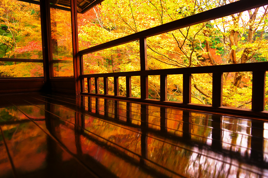 やっと辿り着いた　京の秋色