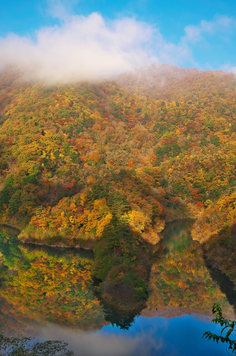 紅葉島