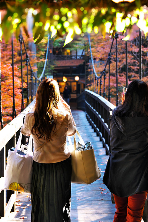 京都　紅葉散策