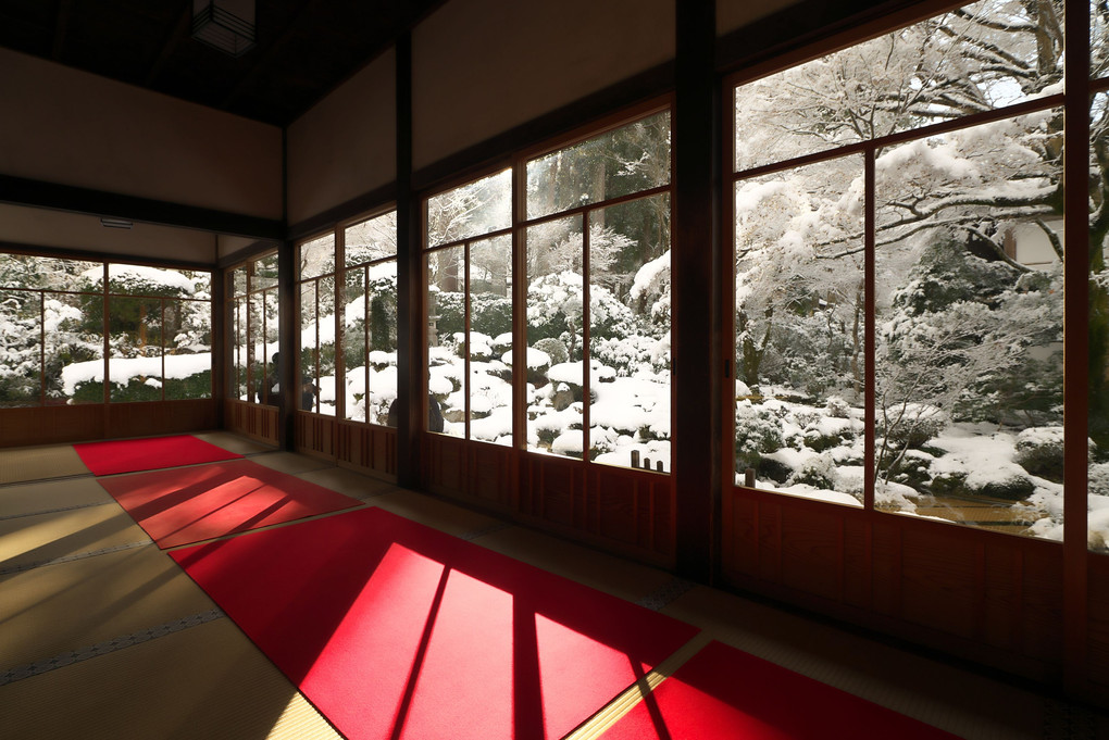 京の雪景色　散策