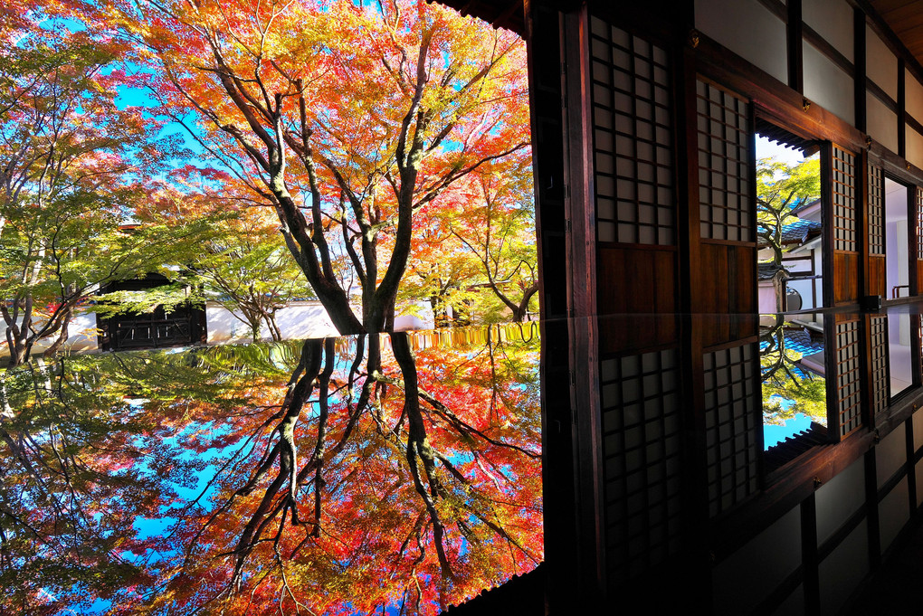 京の彩り