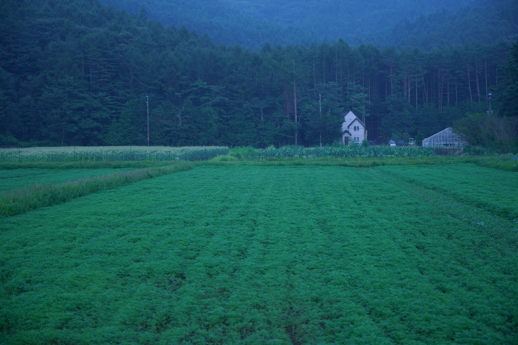 青い風景