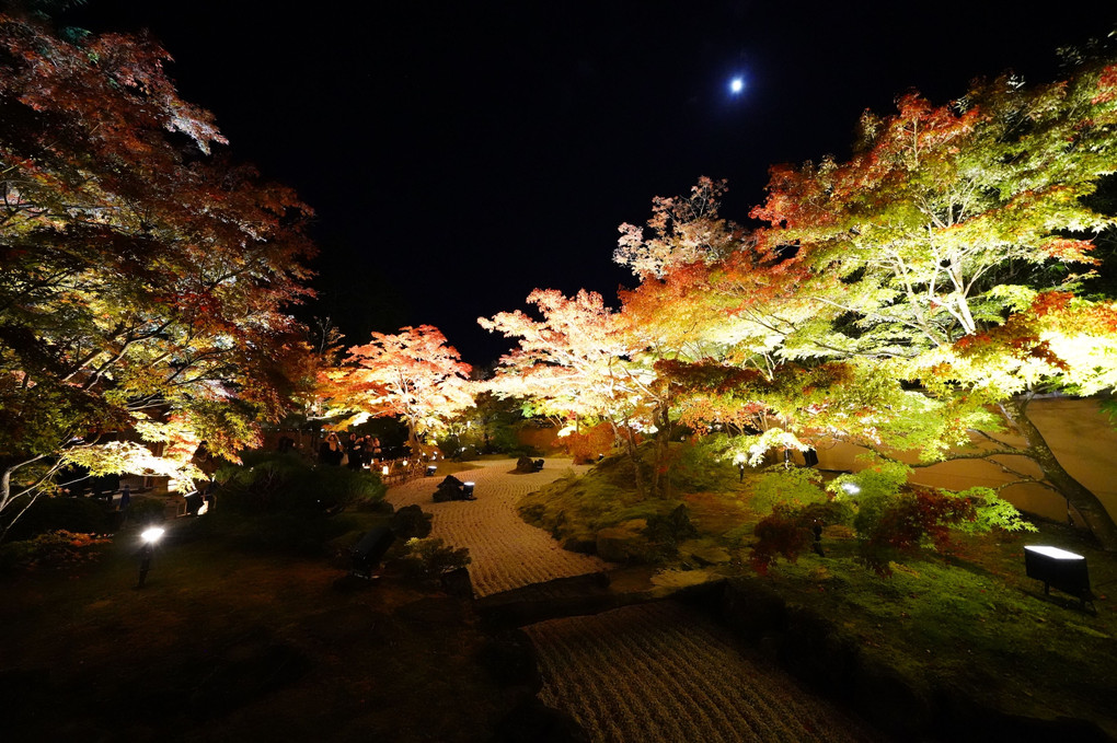 晩秋の松島