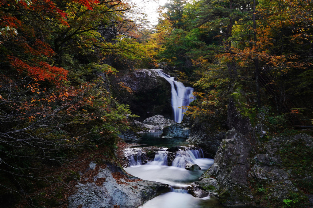 秋色　関山大滝