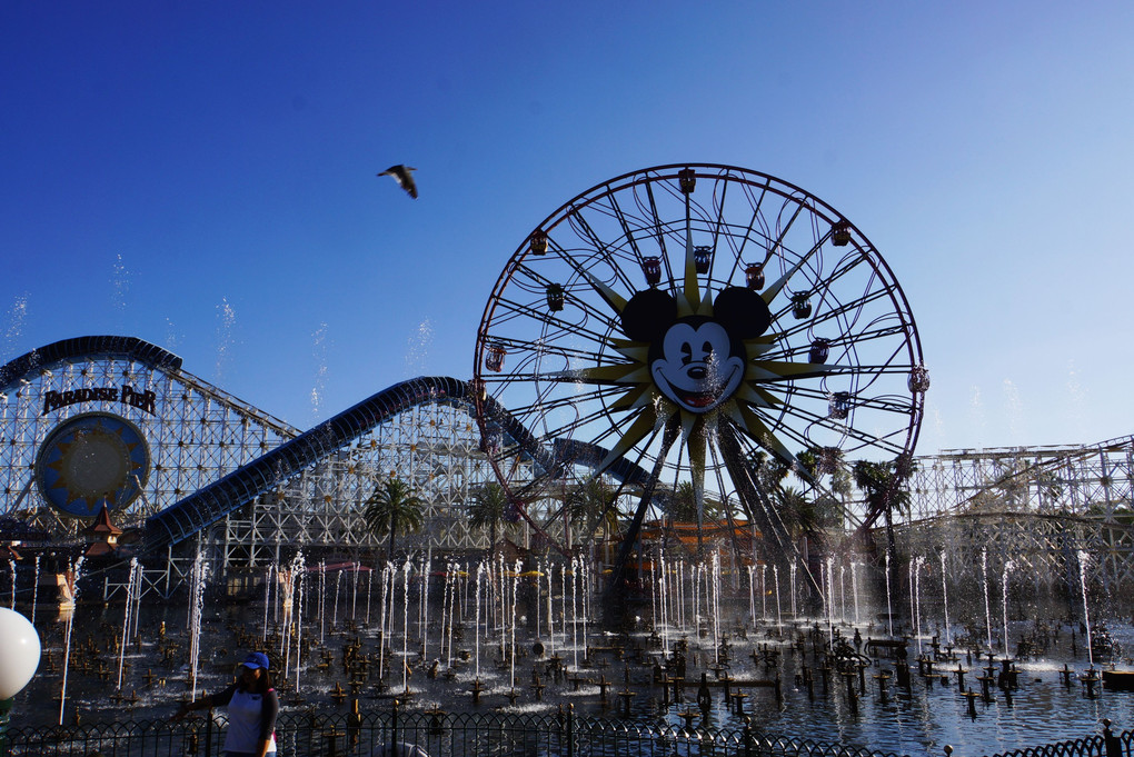 Disny CALIFORNIA ADVENTURE