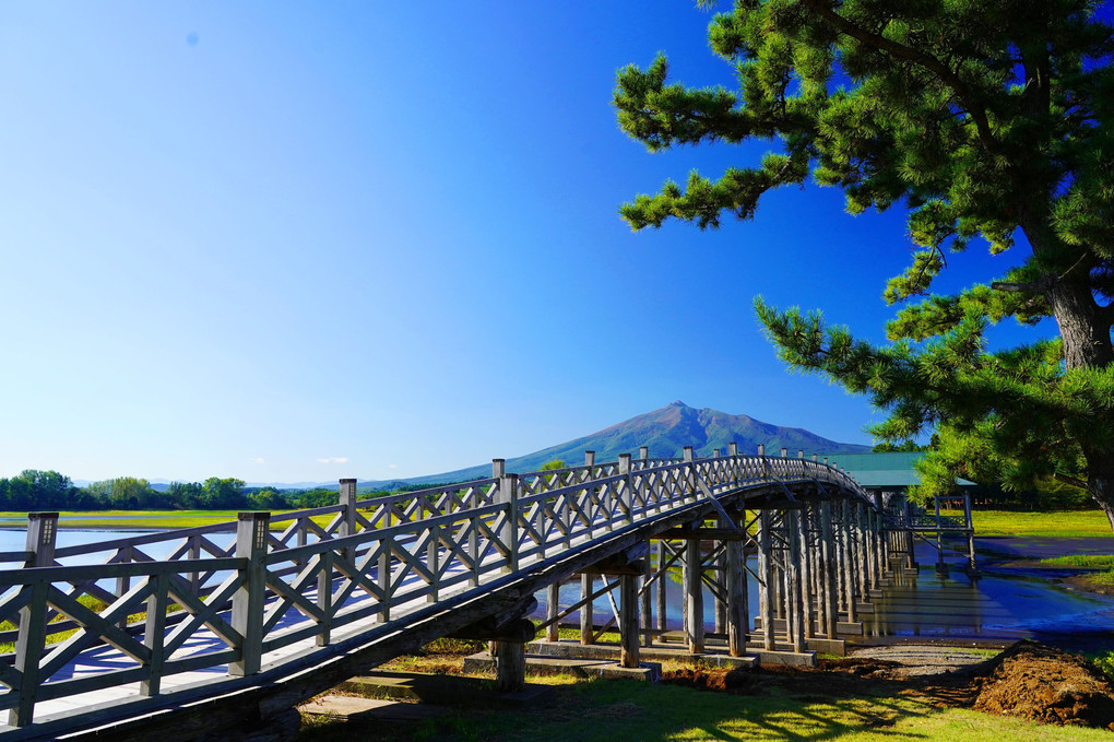 日本一なが～い木の橋