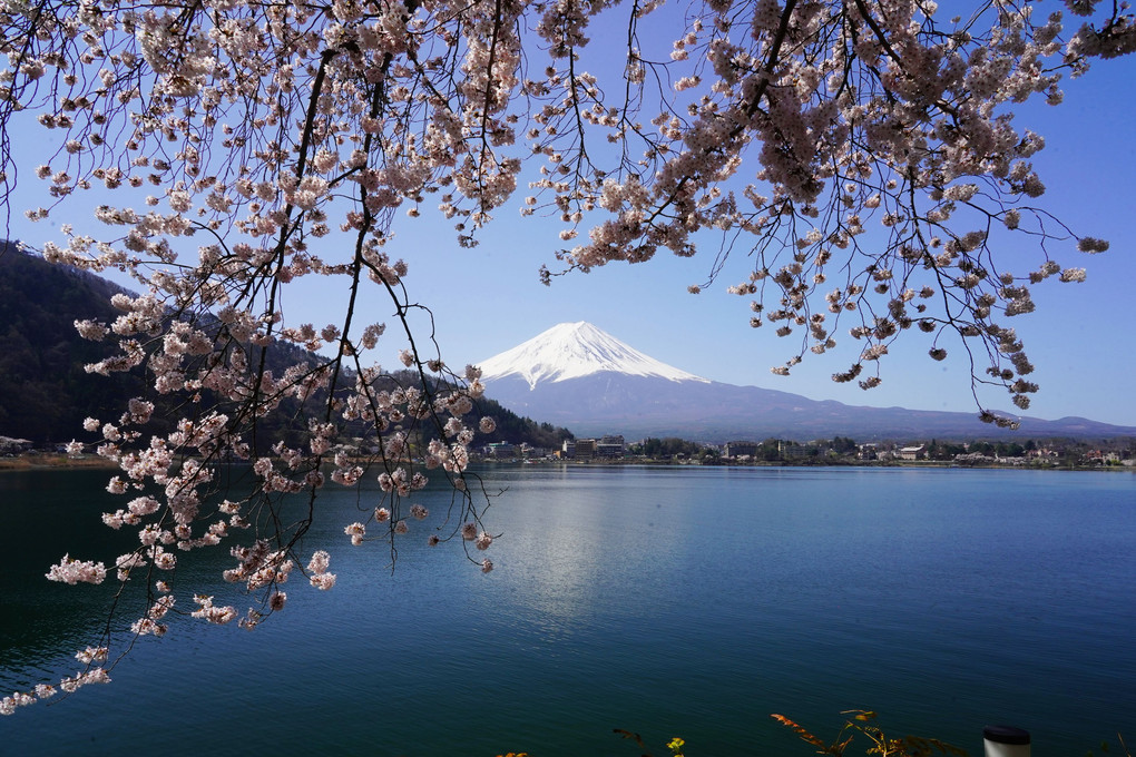 これぞ「日本の美」