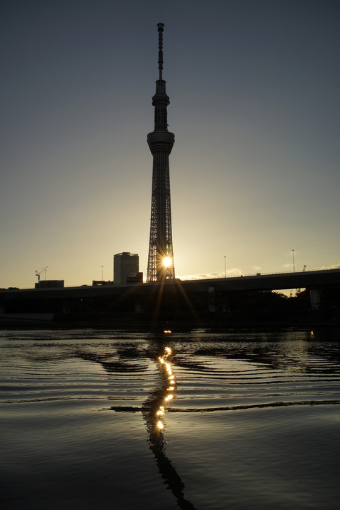 スカイツリーの夜明け