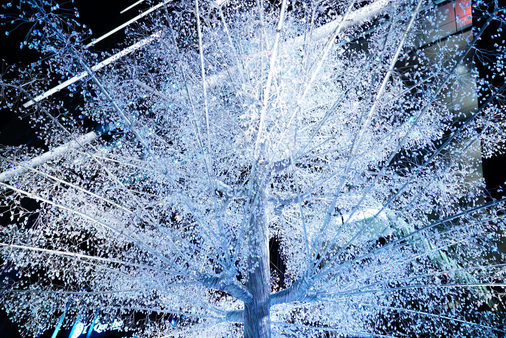 Tokyo Garden Terrace Kioicho  Crystal tree