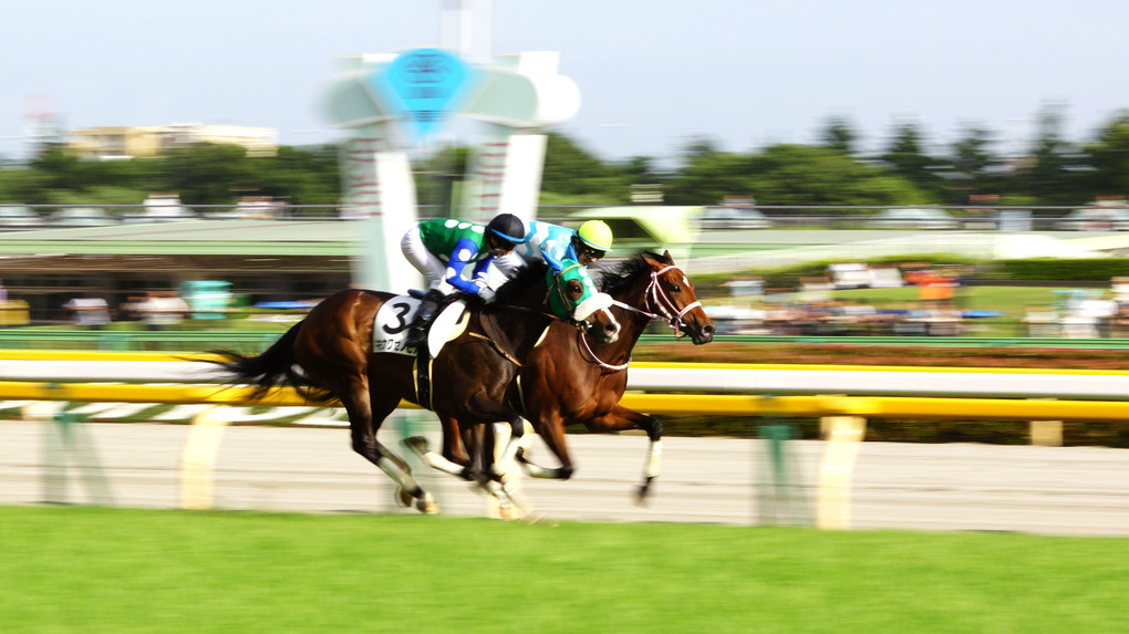 Tokyo Racecourse