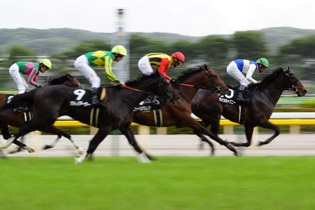 Tokyo Racecourse