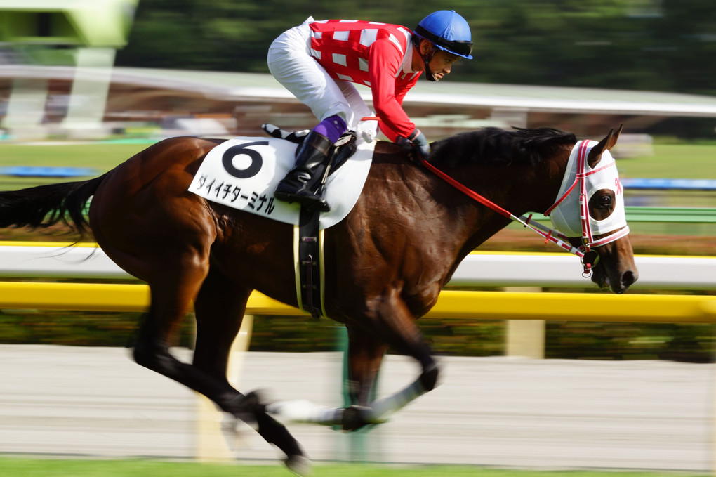 Tokyo Racecourse