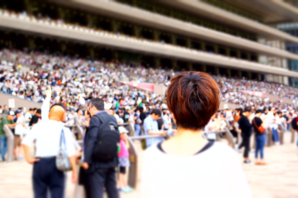 Tokyo Racecourse