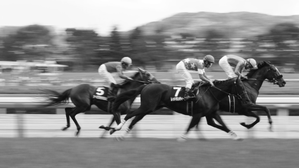 Tokyo Racecourse