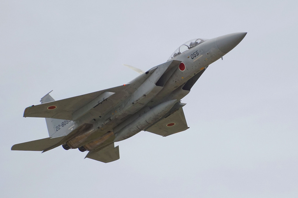 静浜基地航空祭（Ｆ－２・Ｆ－１５）