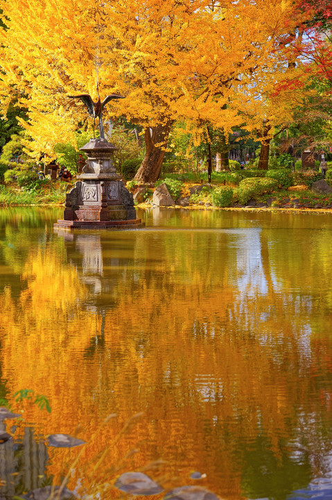 講師と行く　〜秋色探し散策＠日比谷の公園編〜