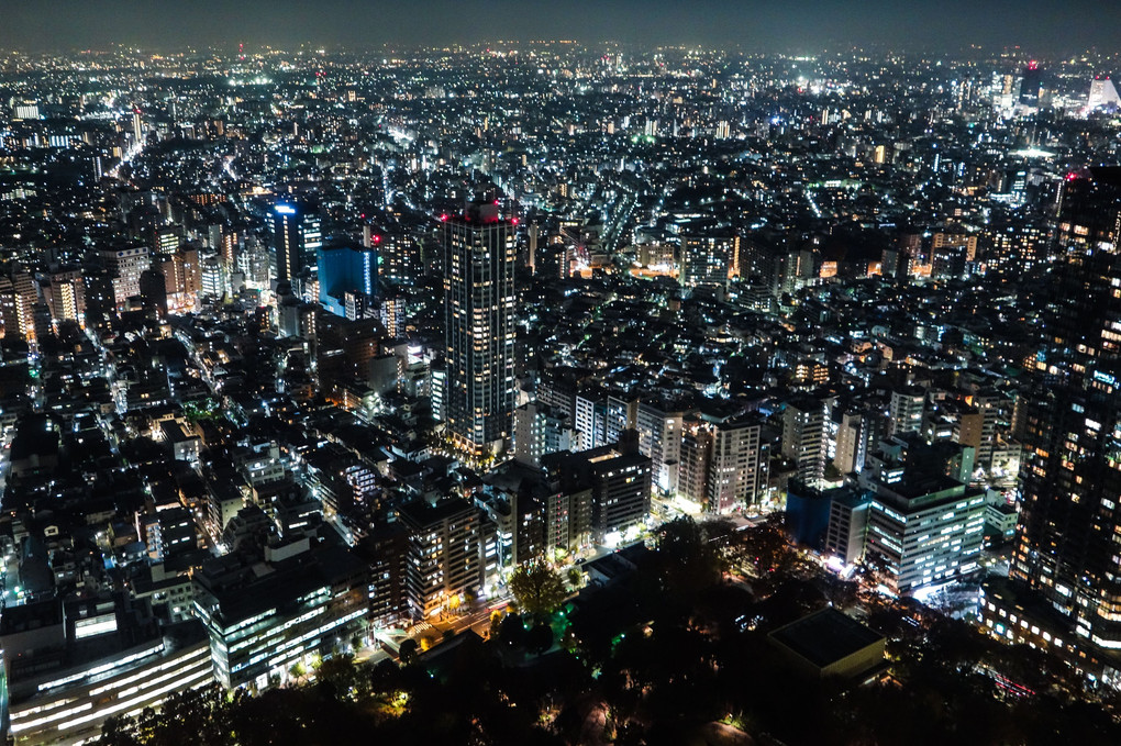 都庁の夜