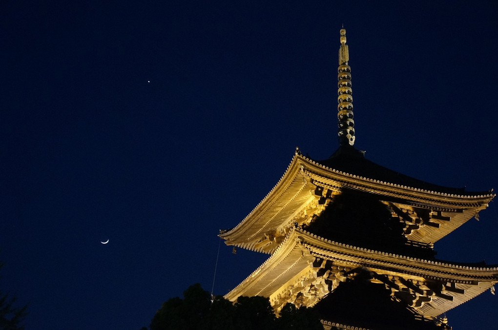 東寺で月見