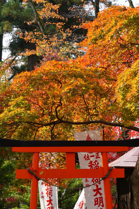 ：多聞寺の紅葉