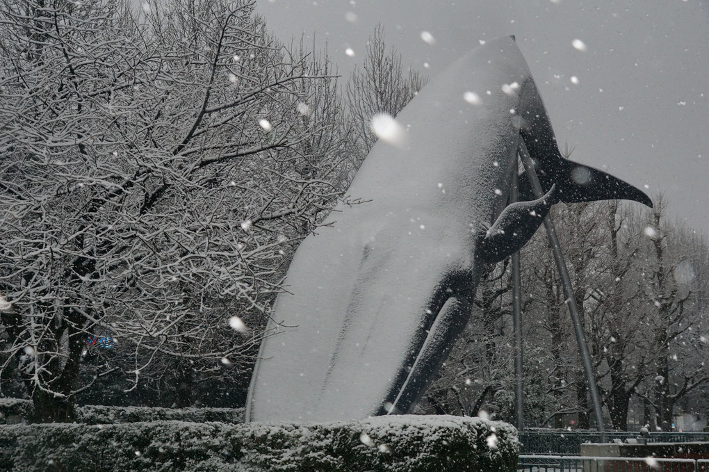 大雪の上野公園