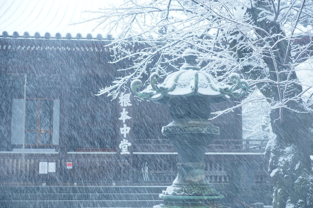 大雪の上野公園