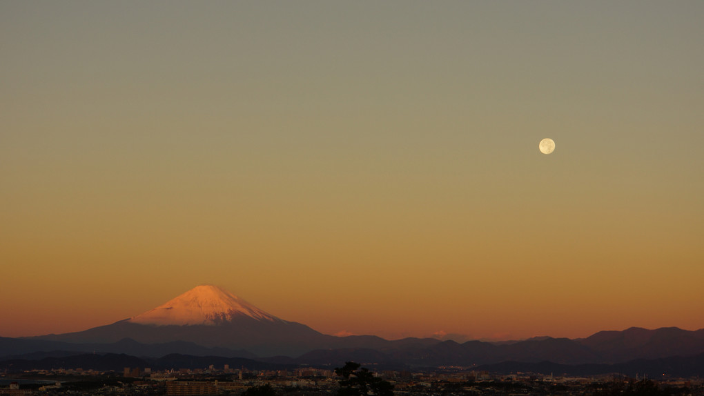 月に富士