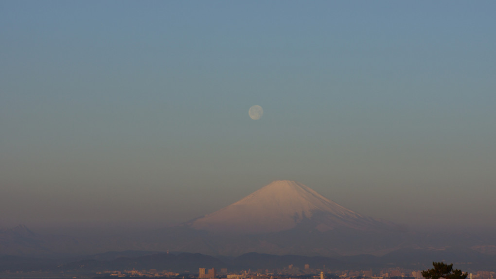 パール富士への軌跡