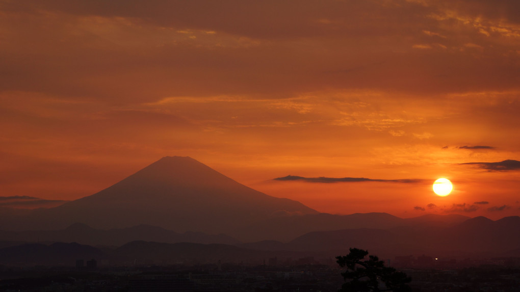 夕日に富士