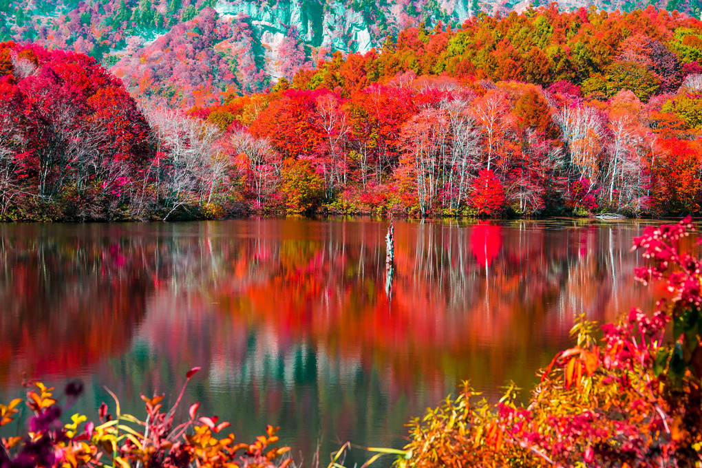 鏡池の秋