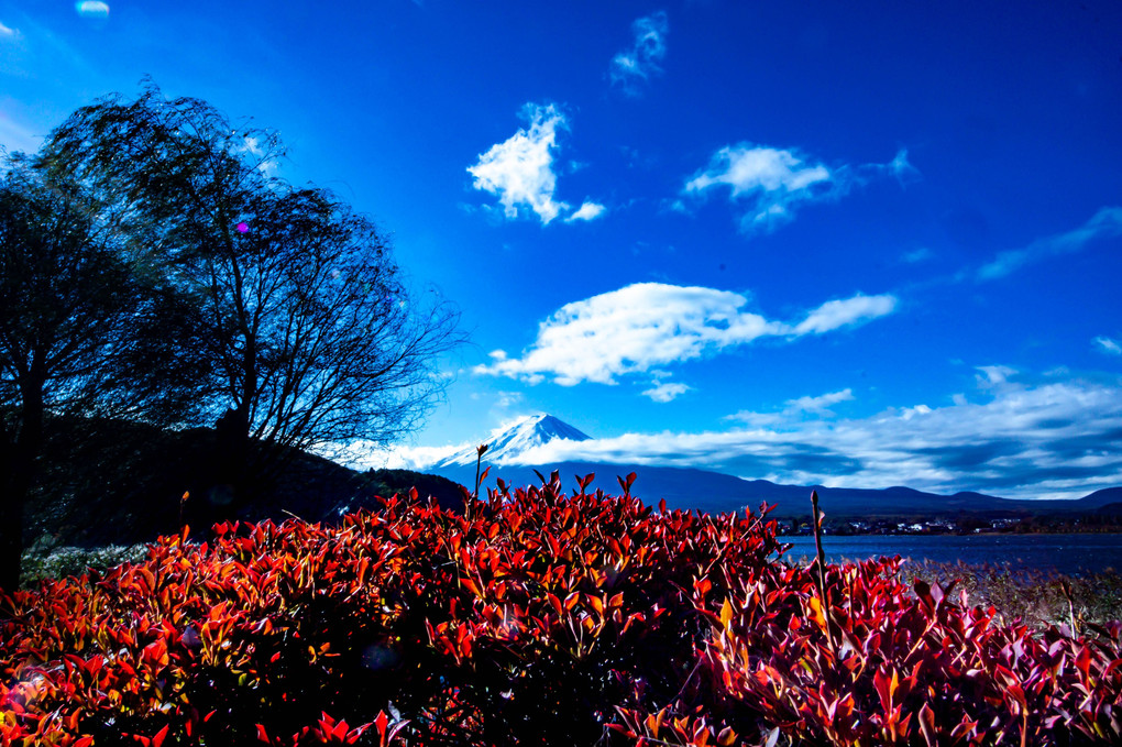 富士の秋