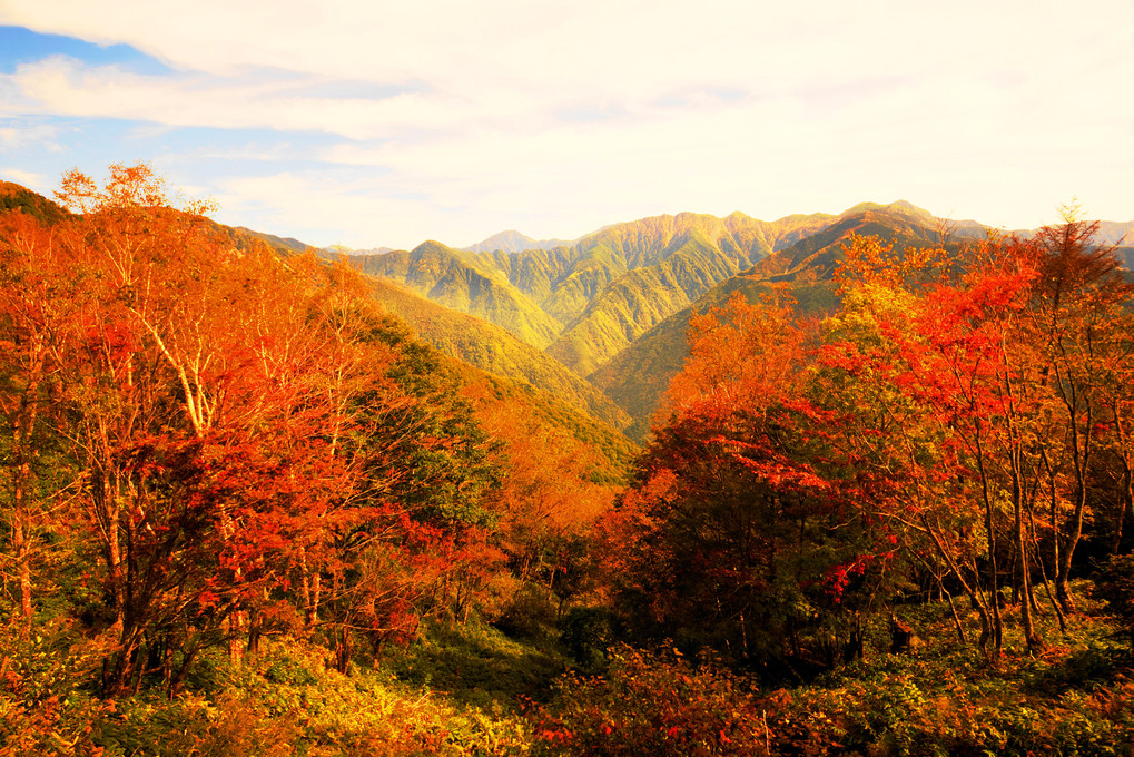 紅葉の季節