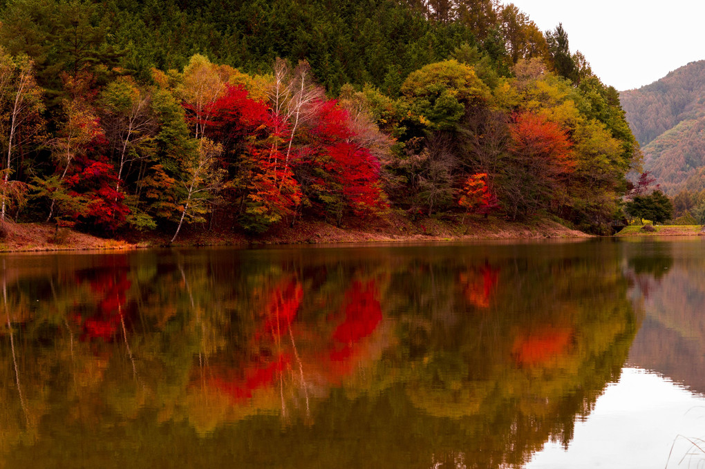 湖水の秋