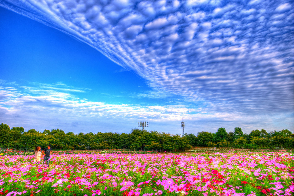 二人の花園