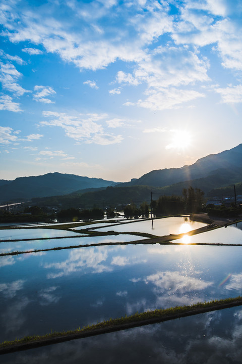 防府の棚田