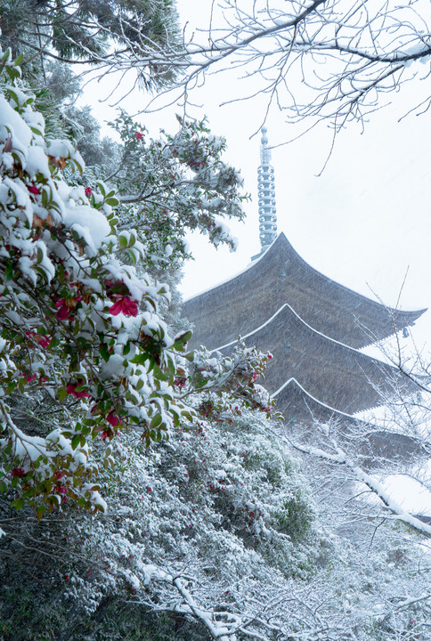 雪の日の瑠璃光寺