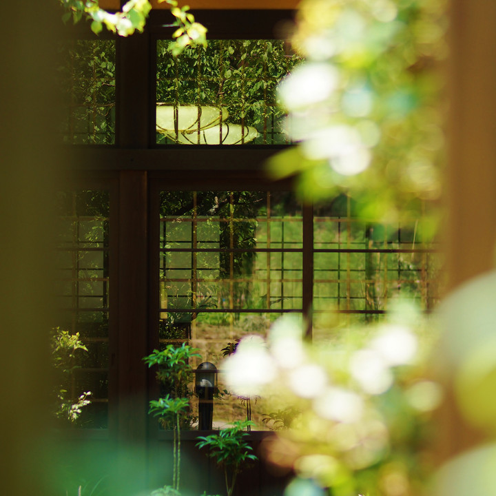 緑を映す茶屋の格子窓