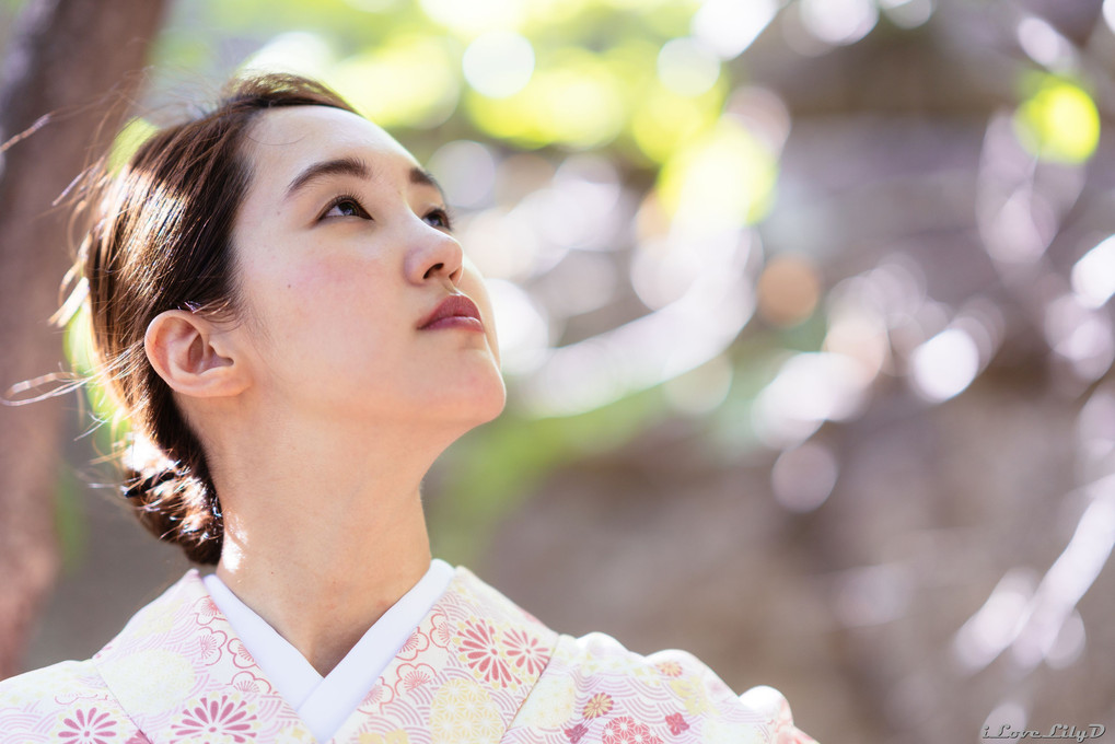 過ぎ去りし夏 ～平成最後の夏を爆盛～