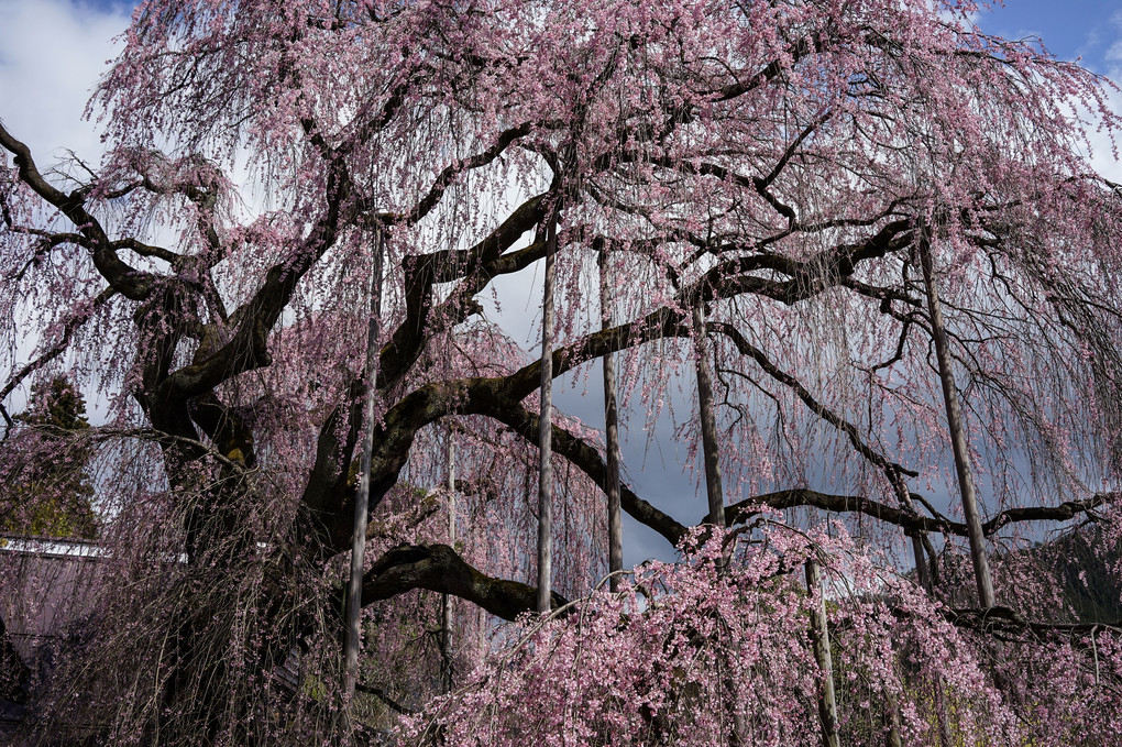 慈雲寺