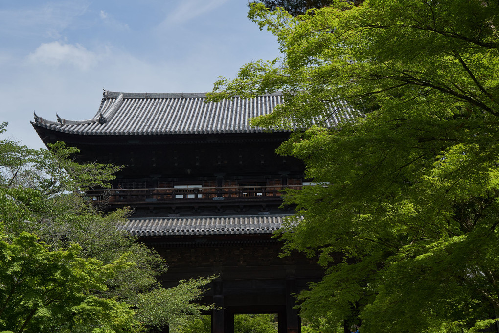 新緑の京都巡り