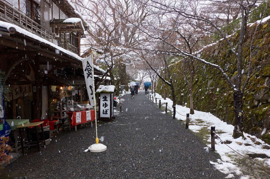 雪の大原