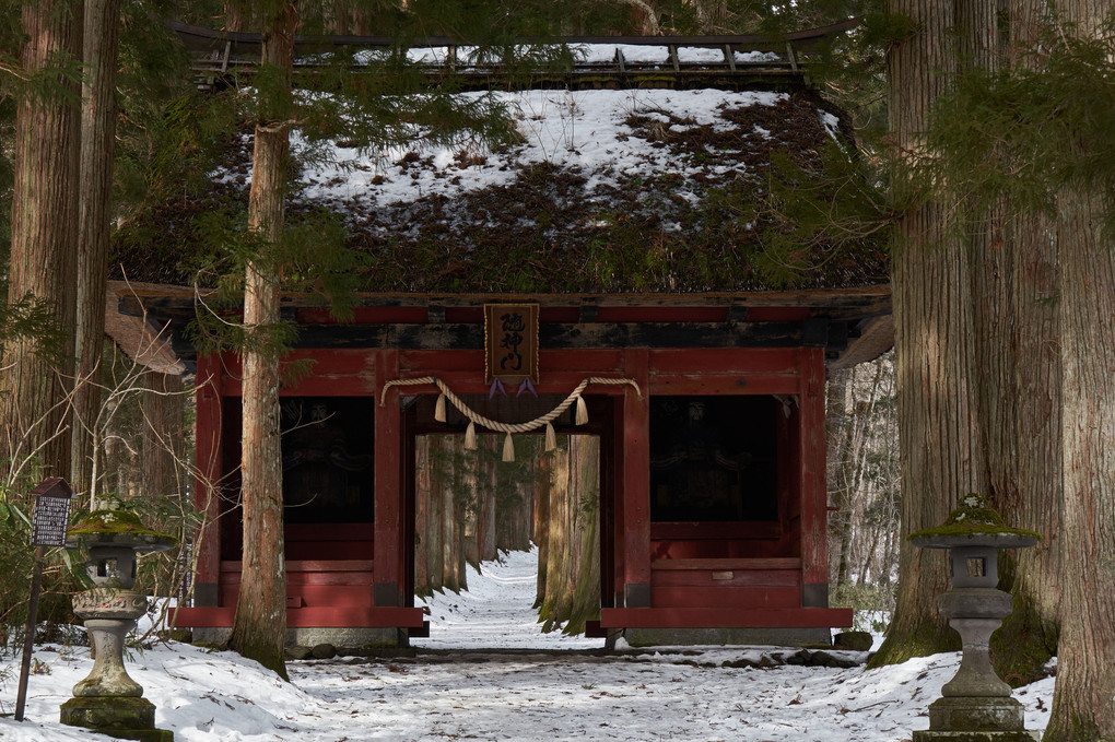 戸隠神社