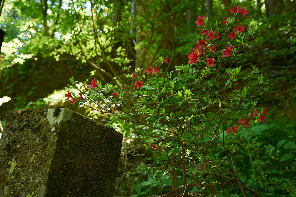 榛名神社