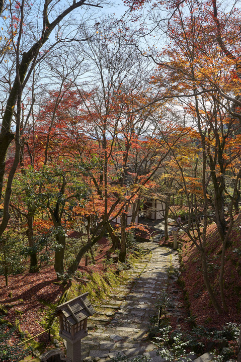 晩秋の京都