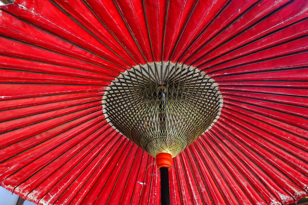 赤い傘